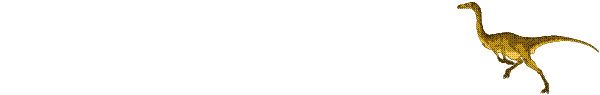 26.gif