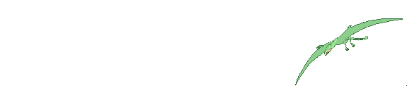 27.gif