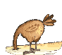 0022_l7x3c.gif