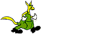 13.gif