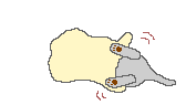0067_xfvb7.gif