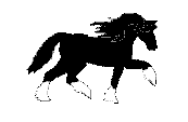 0018_i6r4b.gif