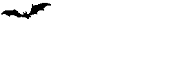 07.gif
