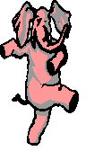 08.gif