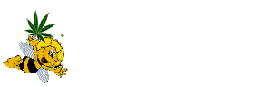 17.gif