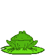 41.gif