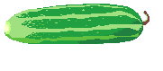 05.gif