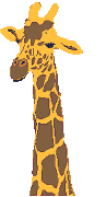 08.gif