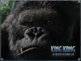 King kong