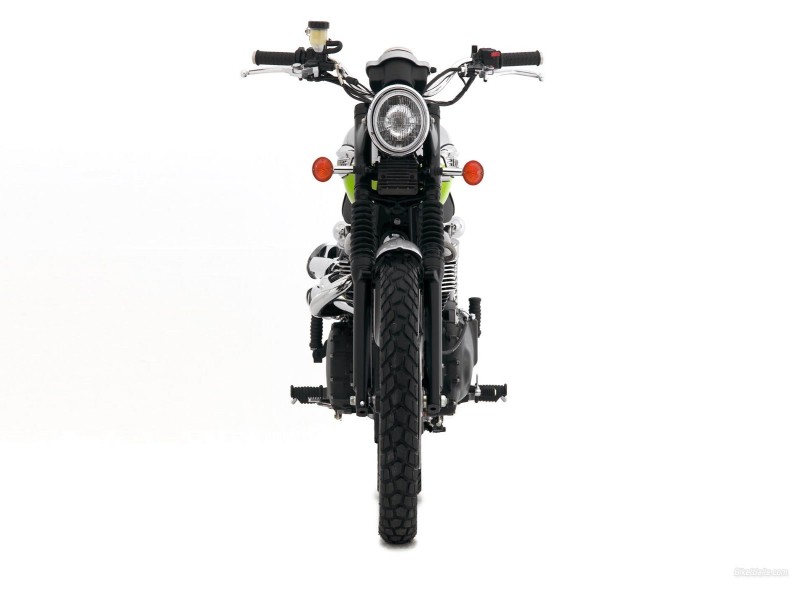1254_d5m1s.jpg