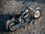 Harley Davidson FLSTFI