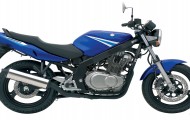 Suzuki GS