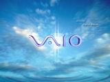 vaio