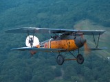 Old Rhinebeck Aerodrome Albatr